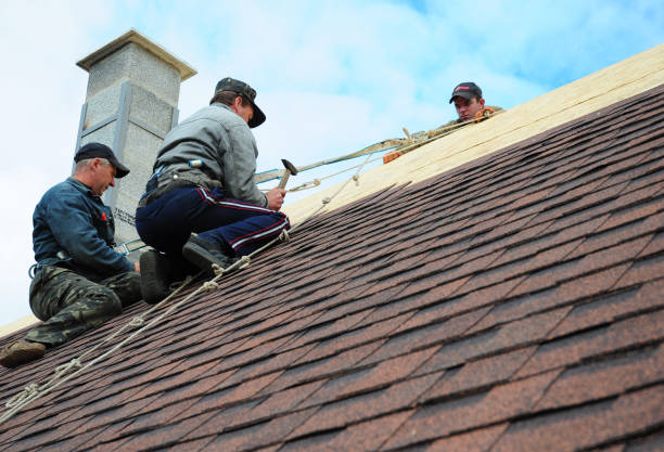 Best Roof Gutter Cleaning  in Cinco Ranch, TX